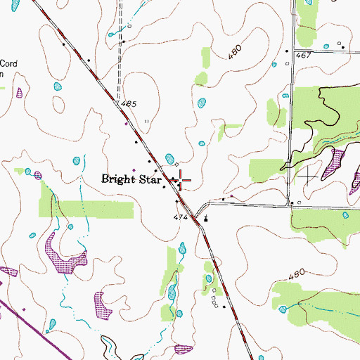 Topographic Map of Bright Star, TX