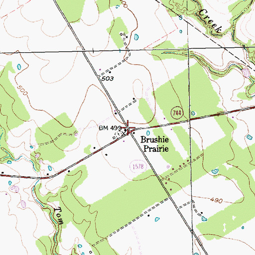 Topographic Map of Brushie Prairie, TX