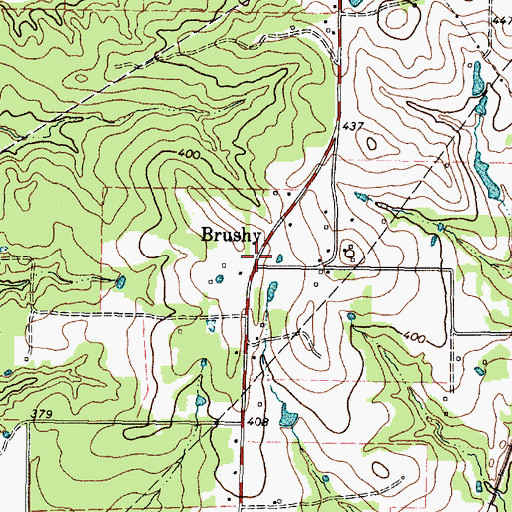 Topographic Map of Brushy, TX