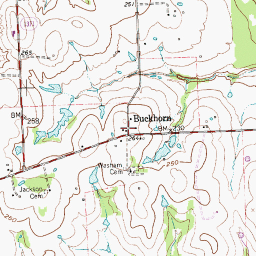 Topographic Map of Buckhorn, TX