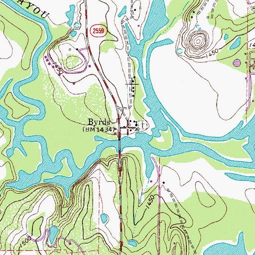 Topographic Map of Byrds, TX