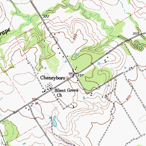 Topographic Map of Cheneyboro, TX