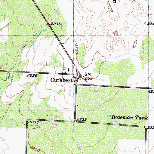 Topographic Map of Cuthbert, TX