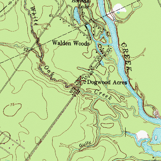Topographic Map of Dogwood Acres, TX