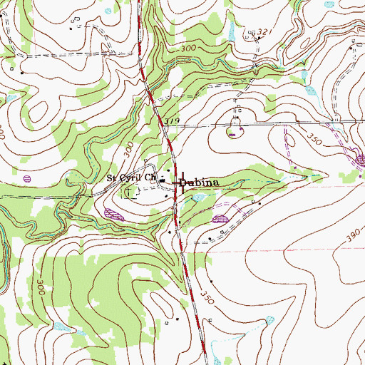 Topographic Map of Dubina, TX