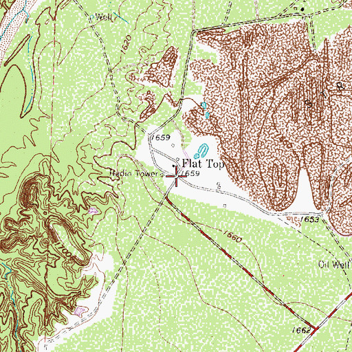 Topographic Map of Flat Top, TX