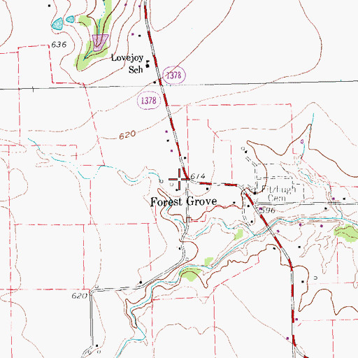 Topographic Map of Forest Grove, TX