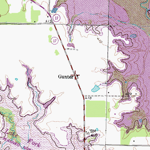 Topographic Map of Gunter, TX