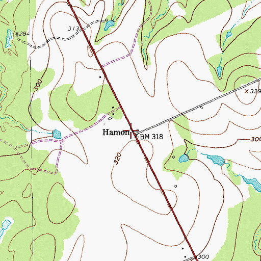 Topographic Map of Hamon, TX