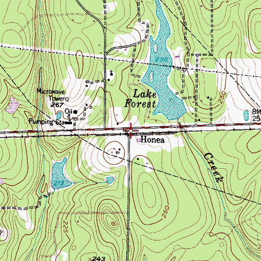 Topographic Map of Honea, TX