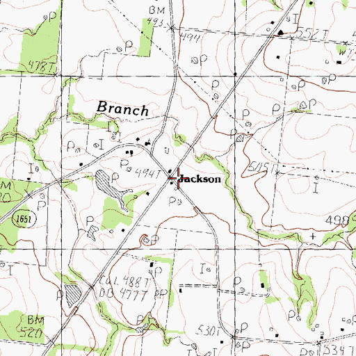 Topographic Map of Jackson, TX