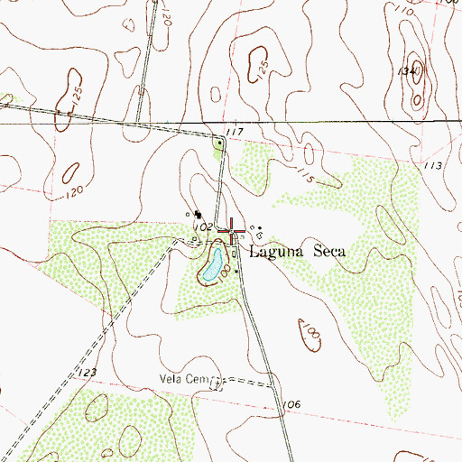 Topographic Map of Laguna Seca, TX