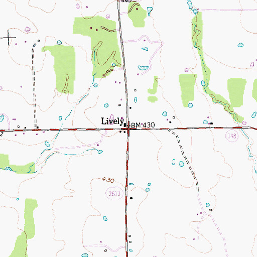 Topographic Map of Lively, TX
