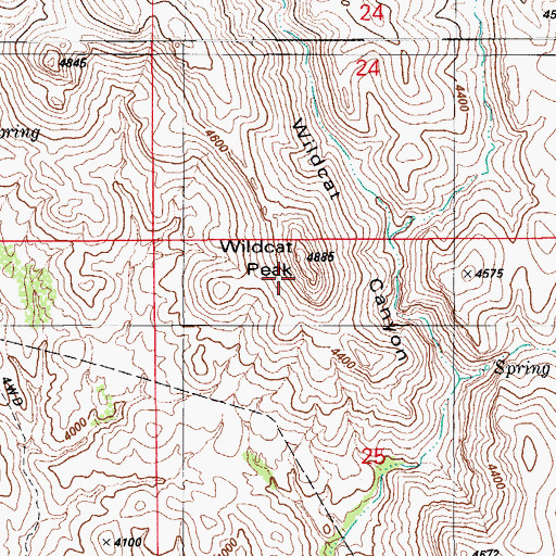 Topographic Map of Wildcat Peak, AZ