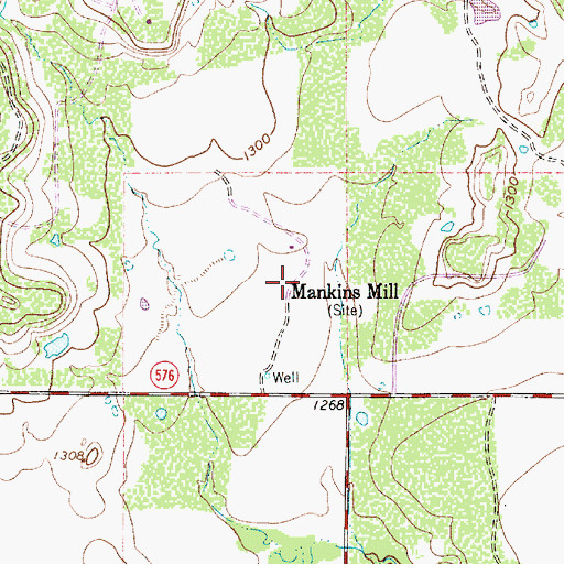 Topographic Map of Mankins Mill, TX