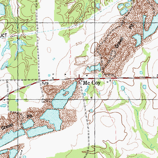 Topographic Map of McCoy, TX