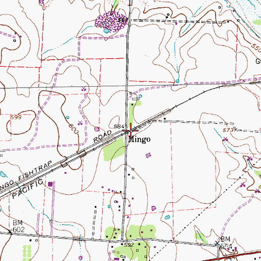 Topographic Map of Mingo, TX