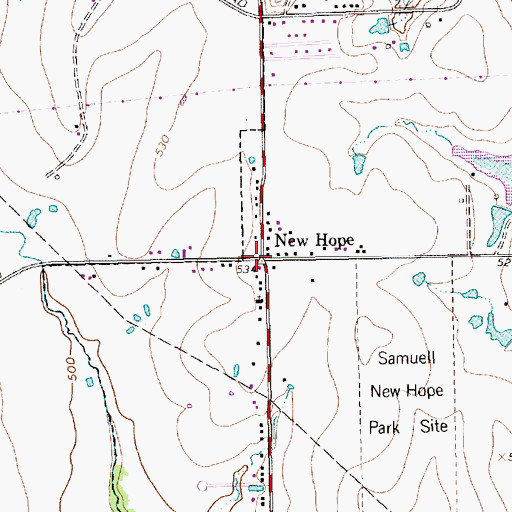 Topographic Map of New Hope, TX