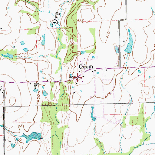 Topographic Map of Odom, TX