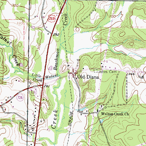 Topographic Map of Old Diana, TX