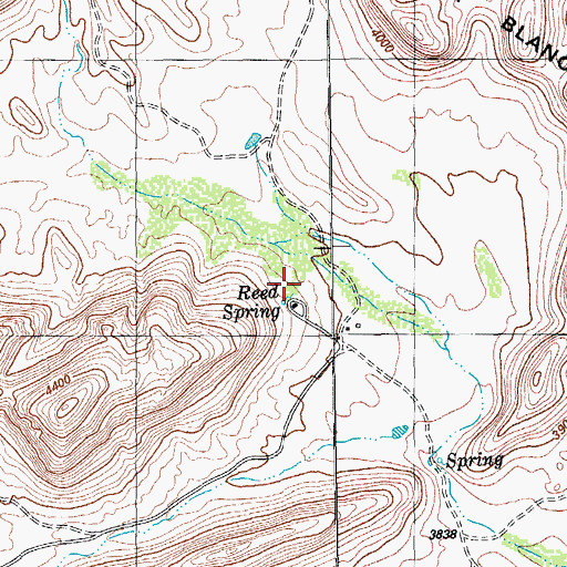 Topographic Map of Old Reed Place, TX