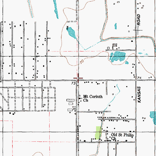 Topographic Map of Palmetto, TX