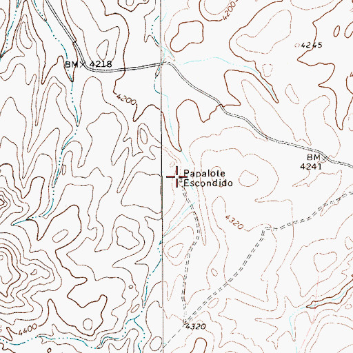 Topographic Map of Papalote Escondido, TX