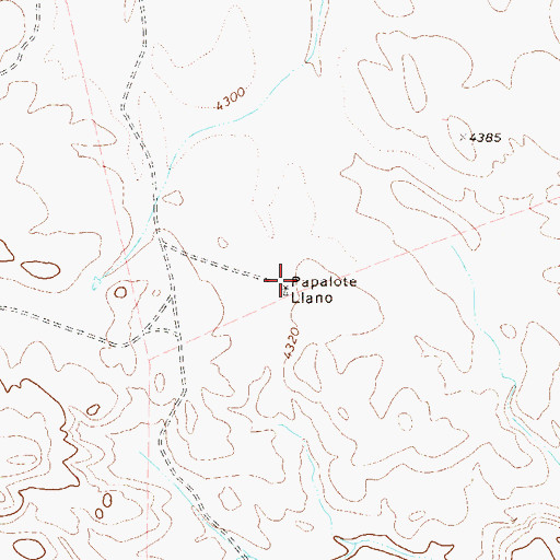 Topographic Map of Papalote Llano, TX