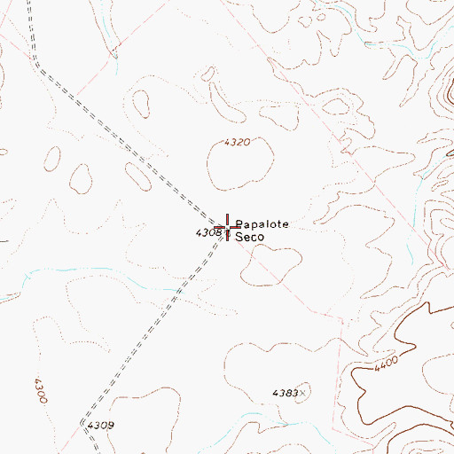 Topographic Map of Papalote Seco, TX