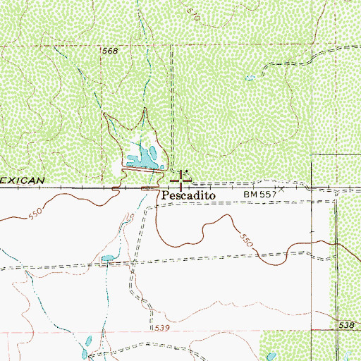 Topographic Map of Pescadito, TX