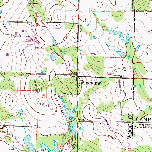 Topographic Map of Pineview, TX