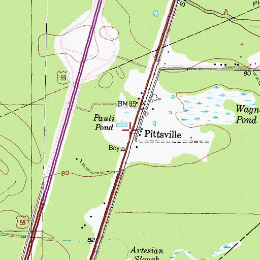 Topographic Map of Pittsville, TX