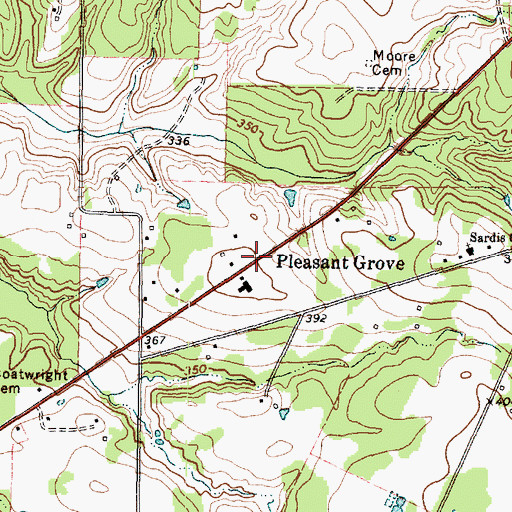 Topographic Map of Pleasant Grove, TX
