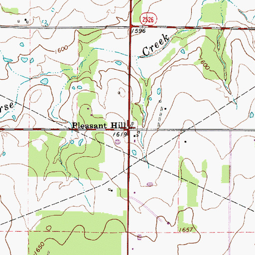 Topographic Map of Pleasant Hill, TX
