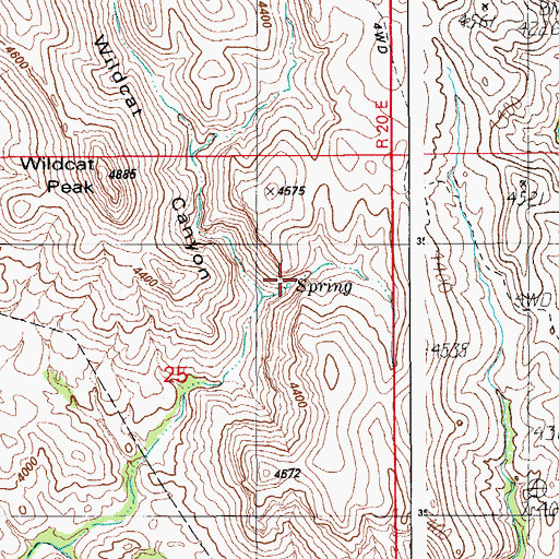Topographic Map of Wildcat Spring, AZ