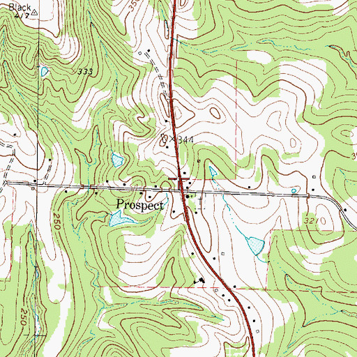 Topographic Map of Prospect, TX