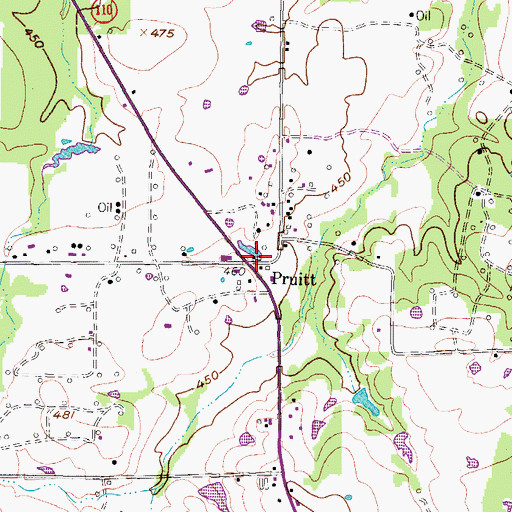 Topographic Map of Pruitt, TX