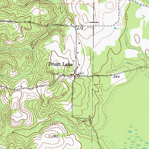 Topographic Map of Pruitt Lake, TX