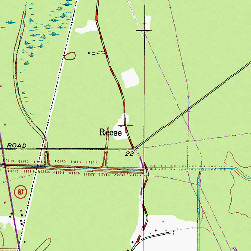 Topographic Map of Reese, TX