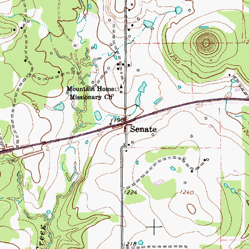 Topographic Map of Senate, TX