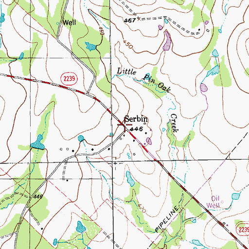 Topographic Map of Serbin, TX