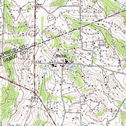 Topographic Map of Shiloh, TX