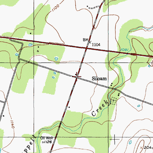 Topographic Map of Siloam, TX