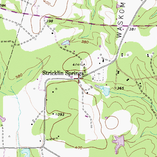 Topographic Map of Stricklin Springs, TX