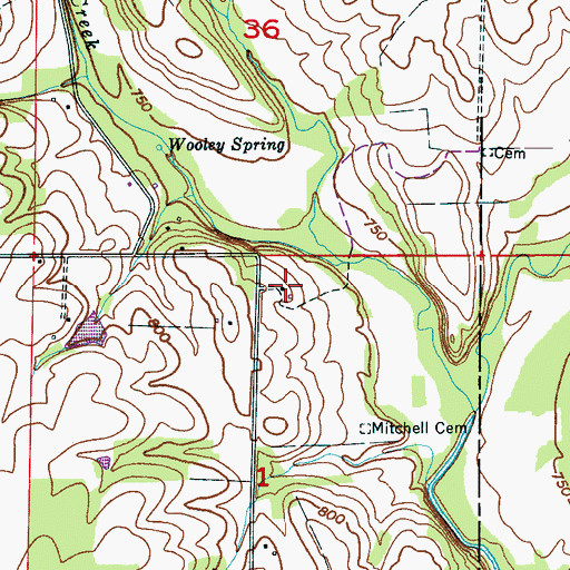 Topographic Map of Wooley Springs (historical), AL