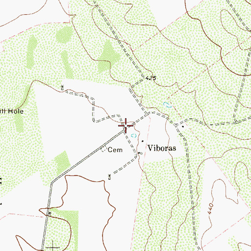 Topographic Map of Viboras, TX