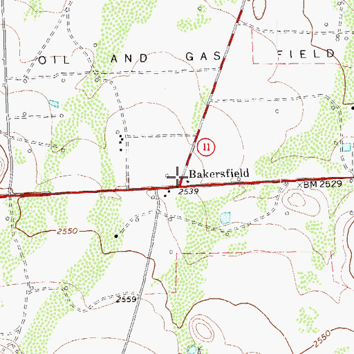 Topographic Map of Bakersfield, TX