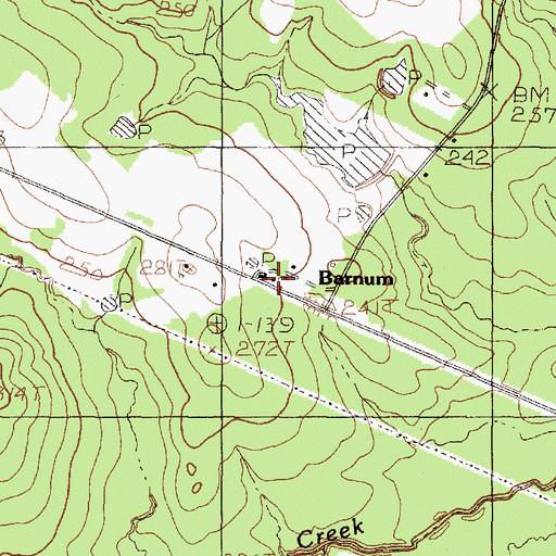 Topographic Map of Barnum, TX