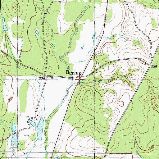 Topographic Map of Bering, TX