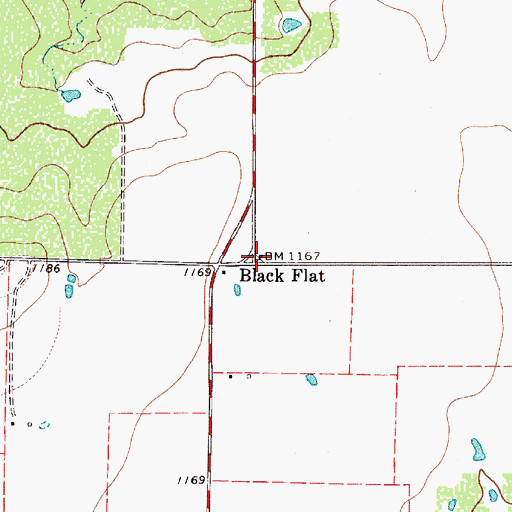 Topographic Map of Black Flat, TX